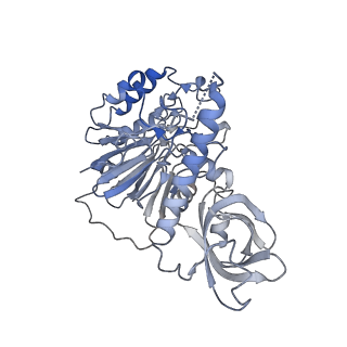 10401_6t8h_A_v1-2
Cryo-EM structure of the DNA-bound PolD-PCNA processive complex from P. abyssi