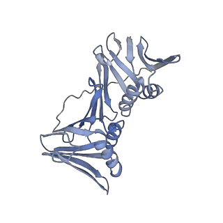 10401_6t8h_C_v1-2
Cryo-EM structure of the DNA-bound PolD-PCNA processive complex from P. abyssi