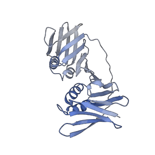 10401_6t8h_D_v1-2
Cryo-EM structure of the DNA-bound PolD-PCNA processive complex from P. abyssi