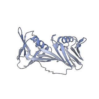 10401_6t8h_E_v1-2
Cryo-EM structure of the DNA-bound PolD-PCNA processive complex from P. abyssi