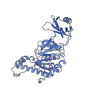 10402_6t8o_A_v1-1
Stalled FtsK motor domain bound to dsDNA end