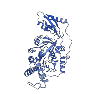 10402_6t8o_F_v1-1
Stalled FtsK motor domain bound to dsDNA end