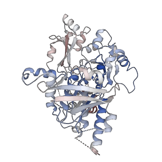 25743_7t8b_A_v1-1
Octameric Human Twinkle Helicase Clinical Variant W315L