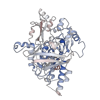 25743_7t8b_A_v1-2
Octameric Human Twinkle Helicase Clinical Variant W315L