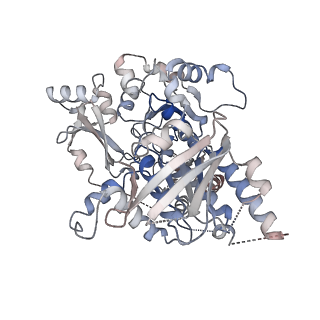 25743_7t8b_B_v1-2
Octameric Human Twinkle Helicase Clinical Variant W315L