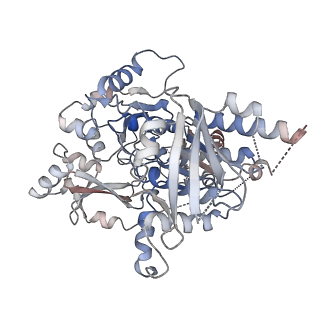 25743_7t8b_C_v1-1
Octameric Human Twinkle Helicase Clinical Variant W315L