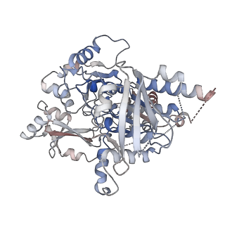 25743_7t8b_C_v1-2
Octameric Human Twinkle Helicase Clinical Variant W315L