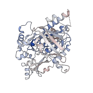 25743_7t8b_D_v1-1
Octameric Human Twinkle Helicase Clinical Variant W315L