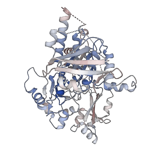 25743_7t8b_E_v1-2
Octameric Human Twinkle Helicase Clinical Variant W315L