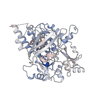 25743_7t8b_F_v1-1
Octameric Human Twinkle Helicase Clinical Variant W315L