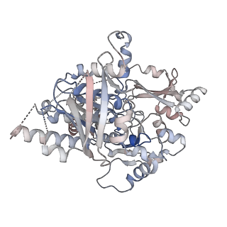 25743_7t8b_G_v1-1
Octameric Human Twinkle Helicase Clinical Variant W315L