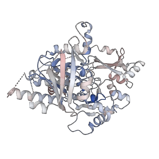 25743_7t8b_G_v1-2
Octameric Human Twinkle Helicase Clinical Variant W315L