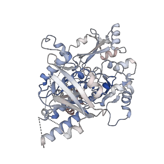 25743_7t8b_H_v1-1
Octameric Human Twinkle Helicase Clinical Variant W315L