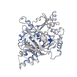 25743_7t8b_H_v1-2
Octameric Human Twinkle Helicase Clinical Variant W315L