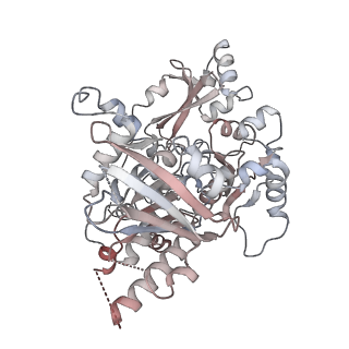 25744_7t8c_A_v1-1
Heptameric Human Twinkle Helicase Clinical Variant W315L