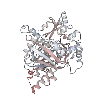 25744_7t8c_A_v1-2
Heptameric Human Twinkle Helicase Clinical Variant W315L