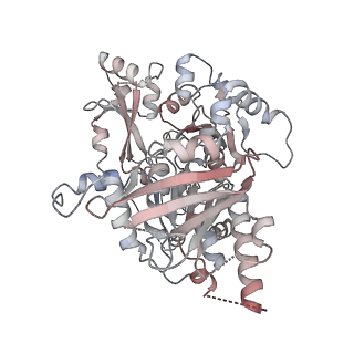 25744_7t8c_B_v1-1
Heptameric Human Twinkle Helicase Clinical Variant W315L