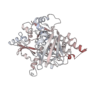 25744_7t8c_C_v1-1
Heptameric Human Twinkle Helicase Clinical Variant W315L