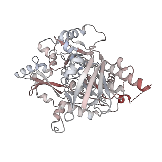 25744_7t8c_C_v1-2
Heptameric Human Twinkle Helicase Clinical Variant W315L