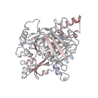 25744_7t8c_D_v1-1
Heptameric Human Twinkle Helicase Clinical Variant W315L