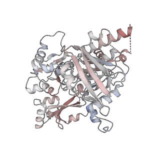 25744_7t8c_D_v1-2
Heptameric Human Twinkle Helicase Clinical Variant W315L