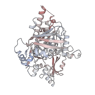 25744_7t8c_E_v1-1
Heptameric Human Twinkle Helicase Clinical Variant W315L