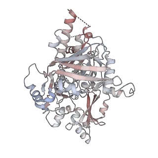 25744_7t8c_E_v1-2
Heptameric Human Twinkle Helicase Clinical Variant W315L