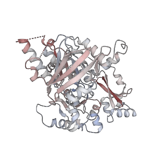 25744_7t8c_F_v1-2
Heptameric Human Twinkle Helicase Clinical Variant W315L