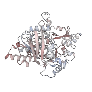 25744_7t8c_G_v1-1
Heptameric Human Twinkle Helicase Clinical Variant W315L
