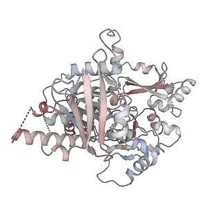 25744_7t8c_G_v1-2
Heptameric Human Twinkle Helicase Clinical Variant W315L