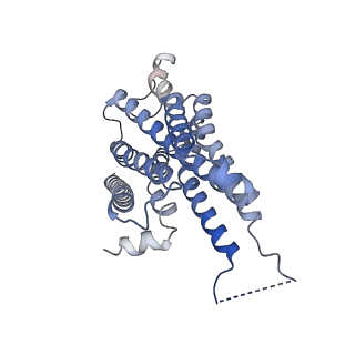 25748_7t8x_A_v1-1
Cryo-EM structure of ACh-bound M2R-Go signaling complex in S1 state