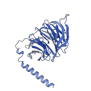 25748_7t8x_C_v1-1
Cryo-EM structure of ACh-bound M2R-Go signaling complex in S1 state