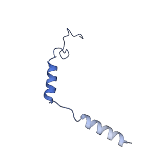 25748_7t8x_D_v1-0
Cryo-EM structure of ACh-bound M2R-Go signaling complex in S1 state