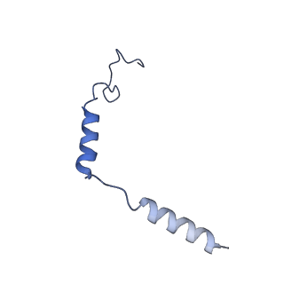 25748_7t8x_D_v1-1
Cryo-EM structure of ACh-bound M2R-Go signaling complex in S1 state