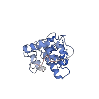41097_8t8e_B_v1-0
cryoEM structure of Smc5/6 5mer