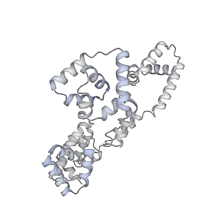 41100_8t8o_AA_v1-0
CCW Flagellar Switch Complex - FliF, FliG, FliM, and FliN forming 34-mer C-ring from Salmonella