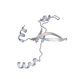 41100_8t8o_AB_v1-0
CCW Flagellar Switch Complex - FliF, FliG, FliM, and FliN forming 34-mer C-ring from Salmonella