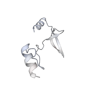 41100_8t8o_AC_v1-0
CCW Flagellar Switch Complex - FliF, FliG, FliM, and FliN forming 34-mer C-ring from Salmonella