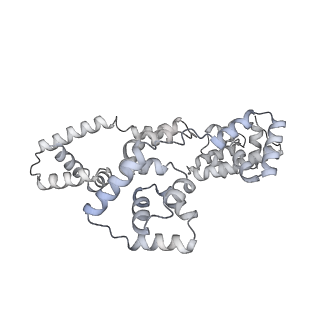 41100_8t8o_AD_v1-0
CCW Flagellar Switch Complex - FliF, FliG, FliM, and FliN forming 34-mer C-ring from Salmonella