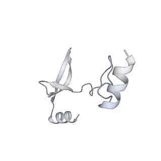 41100_8t8o_AF_v1-0
CCW Flagellar Switch Complex - FliF, FliG, FliM, and FliN forming 34-mer C-ring from Salmonella