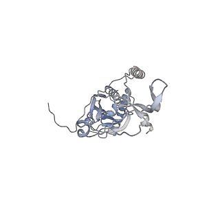 41100_8t8o_BA_v1-0
CCW Flagellar Switch Complex - FliF, FliG, FliM, and FliN forming 34-mer C-ring from Salmonella