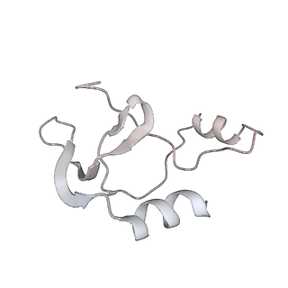 41100_8t8o_BB_v1-0
CCW Flagellar Switch Complex - FliF, FliG, FliM, and FliN forming 34-mer C-ring from Salmonella