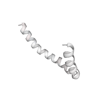 41100_8t8o_BC_v1-0
CCW Flagellar Switch Complex - FliF, FliG, FliM, and FliN forming 34-mer C-ring from Salmonella