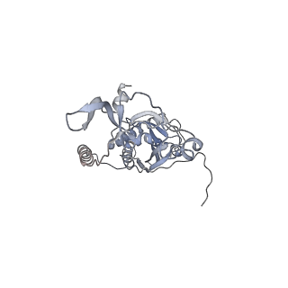 41100_8t8o_BD_v1-0
CCW Flagellar Switch Complex - FliF, FliG, FliM, and FliN forming 34-mer C-ring from Salmonella