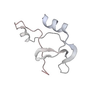 41100_8t8o_BE_v1-0
CCW Flagellar Switch Complex - FliF, FliG, FliM, and FliN forming 34-mer C-ring from Salmonella