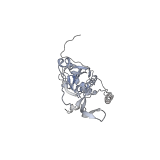 41100_8t8o_BG_v1-0
CCW Flagellar Switch Complex - FliF, FliG, FliM, and FliN forming 34-mer C-ring from Salmonella