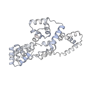 41100_8t8o_B_v1-0
CCW Flagellar Switch Complex - FliF, FliG, FliM, and FliN forming 34-mer C-ring from Salmonella