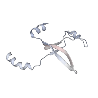 41100_8t8o_CA_v1-0
CCW Flagellar Switch Complex - FliF, FliG, FliM, and FliN forming 34-mer C-ring from Salmonella