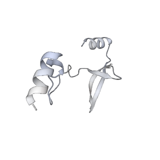 41100_8t8o_CB_v1-0
CCW Flagellar Switch Complex - FliF, FliG, FliM, and FliN forming 34-mer C-ring from Salmonella