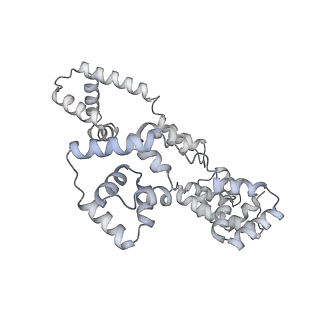 41100_8t8o_CC_v1-0
CCW Flagellar Switch Complex - FliF, FliG, FliM, and FliN forming 34-mer C-ring from Salmonella